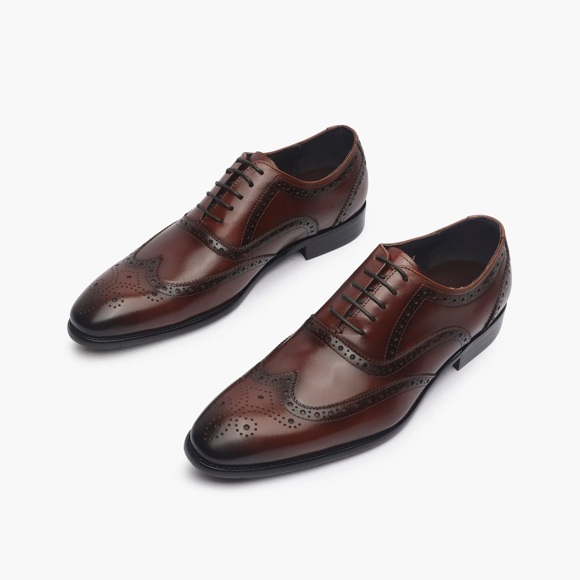 Brushed Leather Brogues